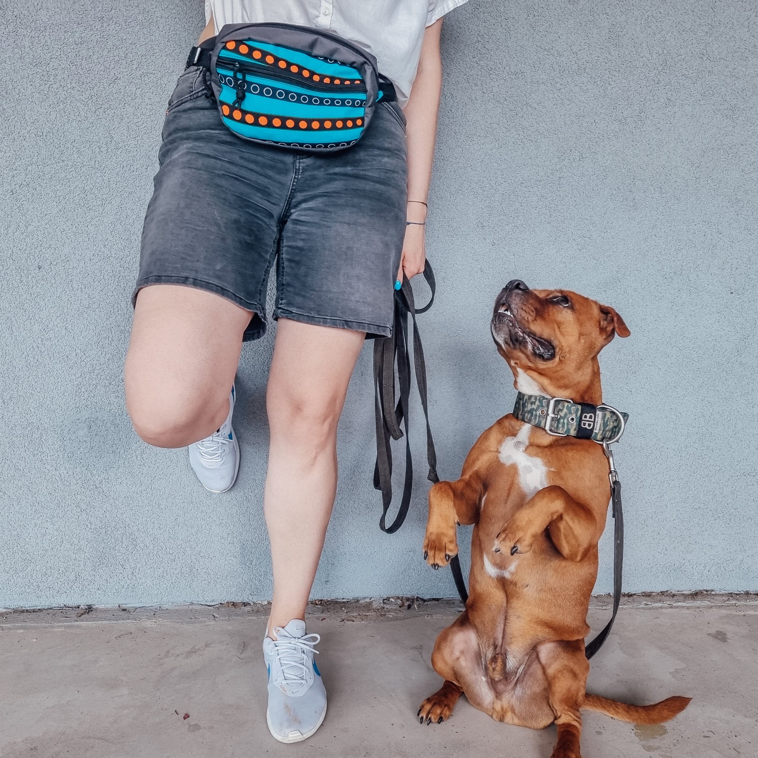 Dog treat bag DALMATIN