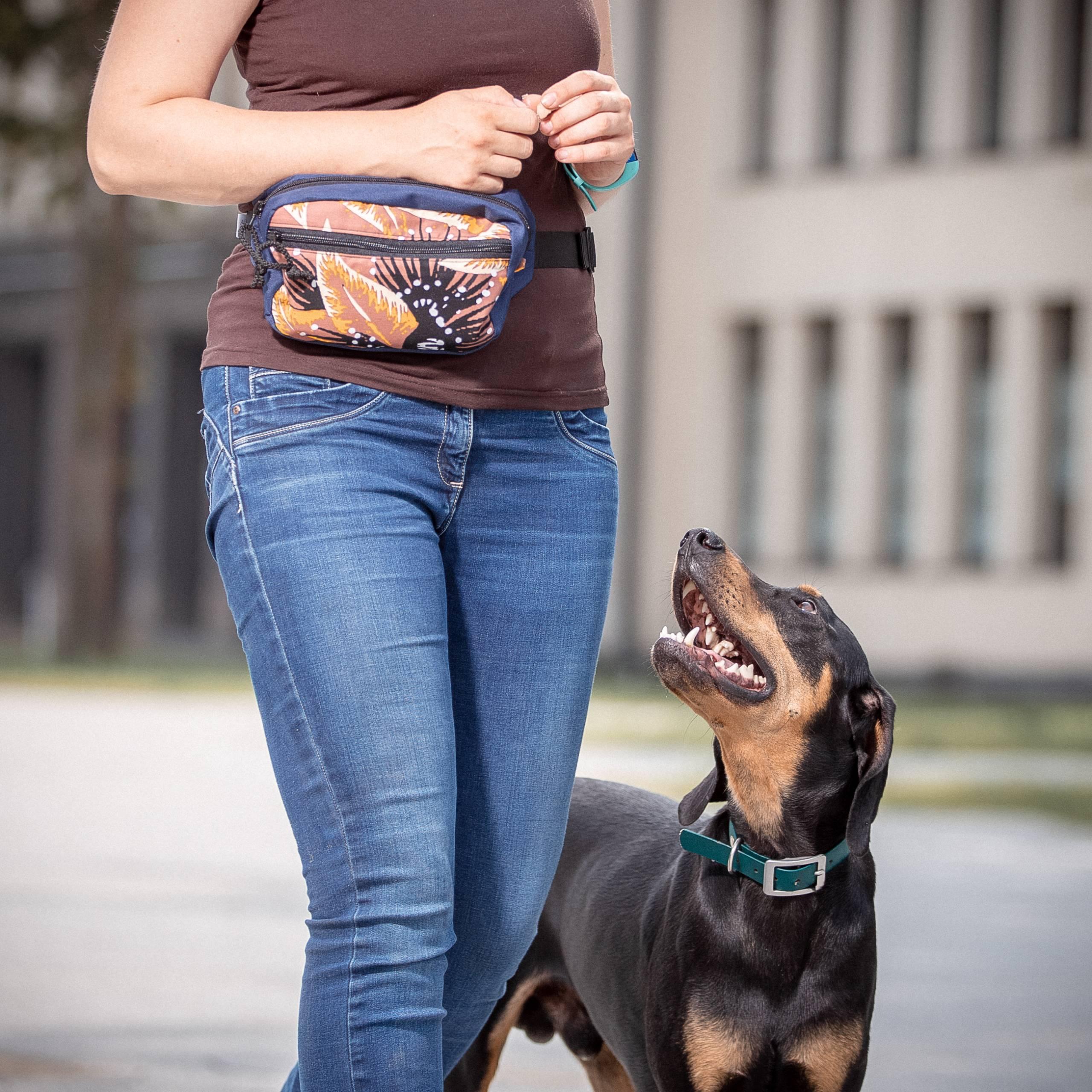 Dog treat bag DALMATIN