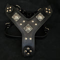 The "Eros" all Black Harness